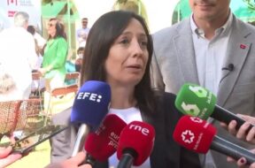 Delegada del Gobierno-Madrid- Mercedes González