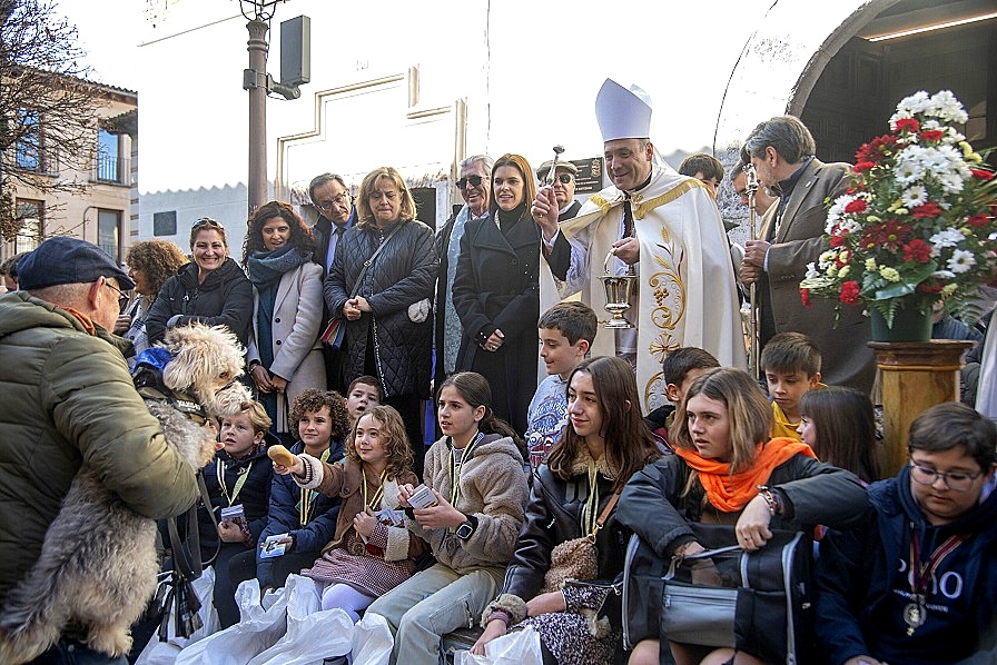 Alcalá de Henares celebró la festividad de San Antón “A lo grande”.