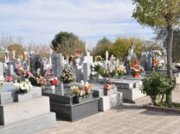 Imagen cementerio-Municipal de Coslada