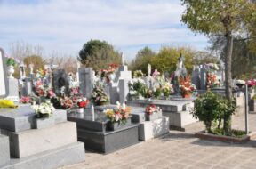 Imagen cementerio-Municipal de Coslada