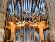 órgano iluminado completo